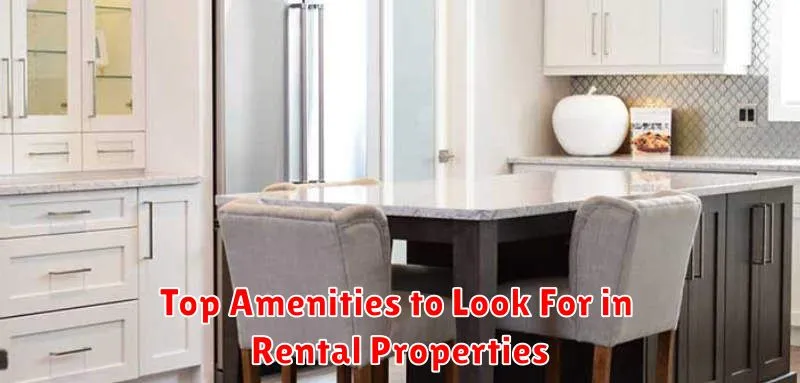 Top Amenities to Look For in Rental Properties