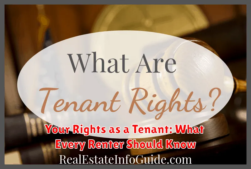 Your Rights as a Tenant: What Every Renter Should Know